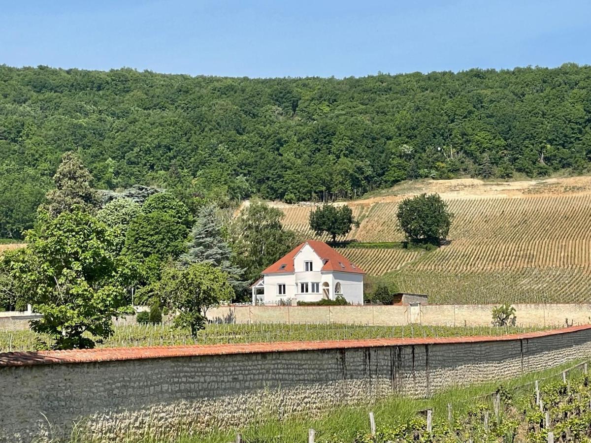 Villa De La Roseraie Rully  외부 사진