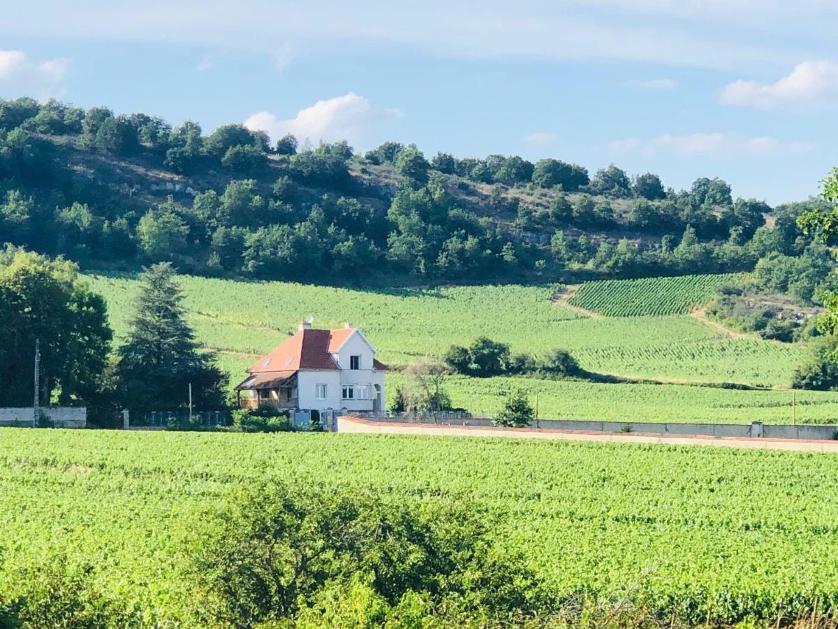 Villa De La Roseraie Rully  외부 사진